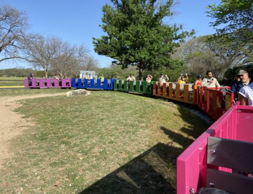 Zilker Eagle update: work in progress